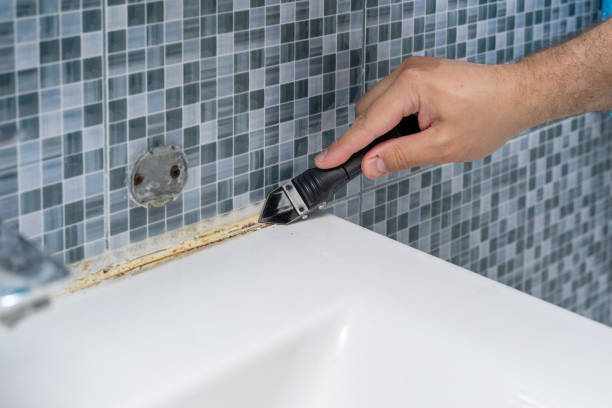 Best Black Mold Remediation in Rosewood Heights, IL