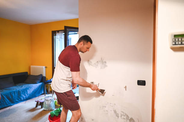 Best Residential Mold Remediation in Rosewood Heights, IL
